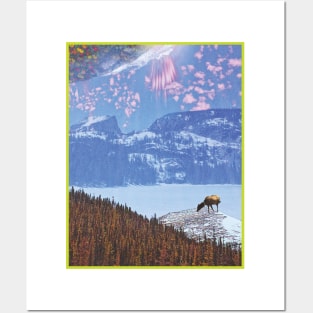 Elk Explorer Posters and Art